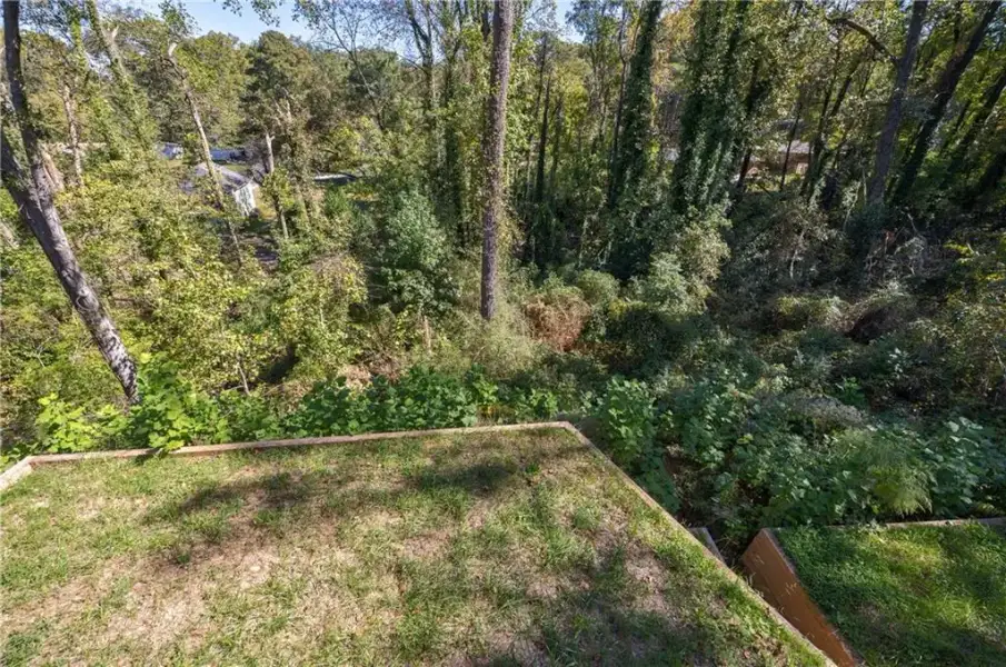 Natural landscape and outdoor views near  in Hapeville (Image 38).