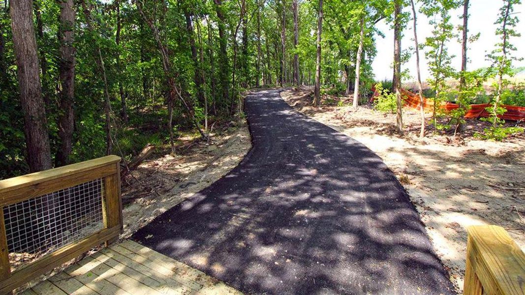 Natural landscape and outdoor views near Independence in Loganville (Image 47). Natural landscape and outdoor views near Independence in Loganville (Image 47).