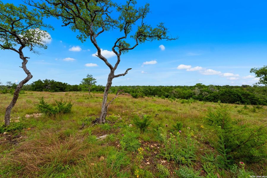 Natural landscape and outdoor views near in Fredericksburg (Image 35). Natural landscape and outdoor views near in Fredericksburg (Image 35).
