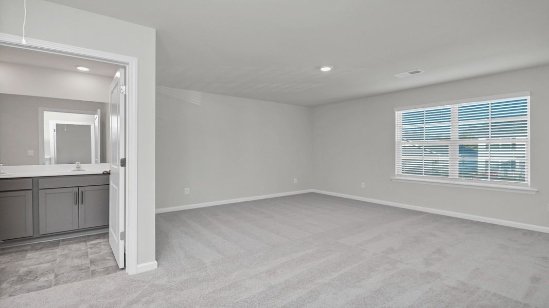 Spacious, unfurnished interior of a new home in Hunter's Branch, Hopkins (Image 33).