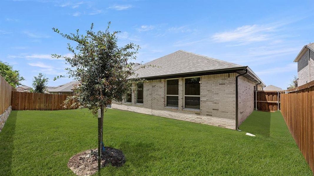 27. 1220 Cider Mill - Back (2) 27. 1220 Cider Mill - Back (2)