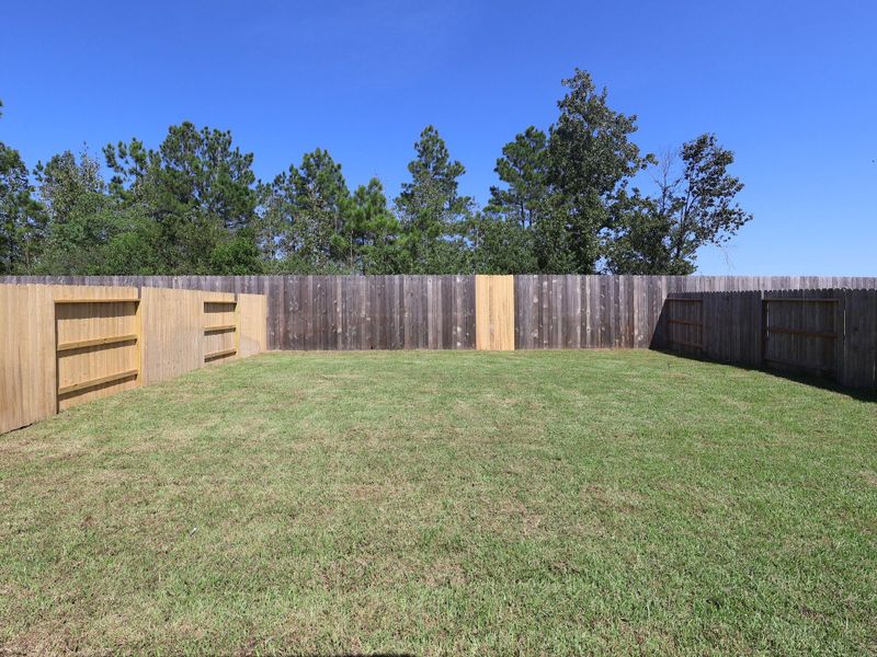 Backyard
