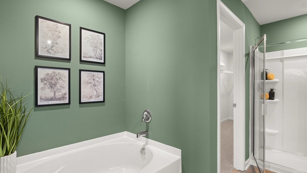 Representative furnished interior of a home built from the Salisbury by D.R. Horton in Hughes Court, Dawsonville (Image 41).