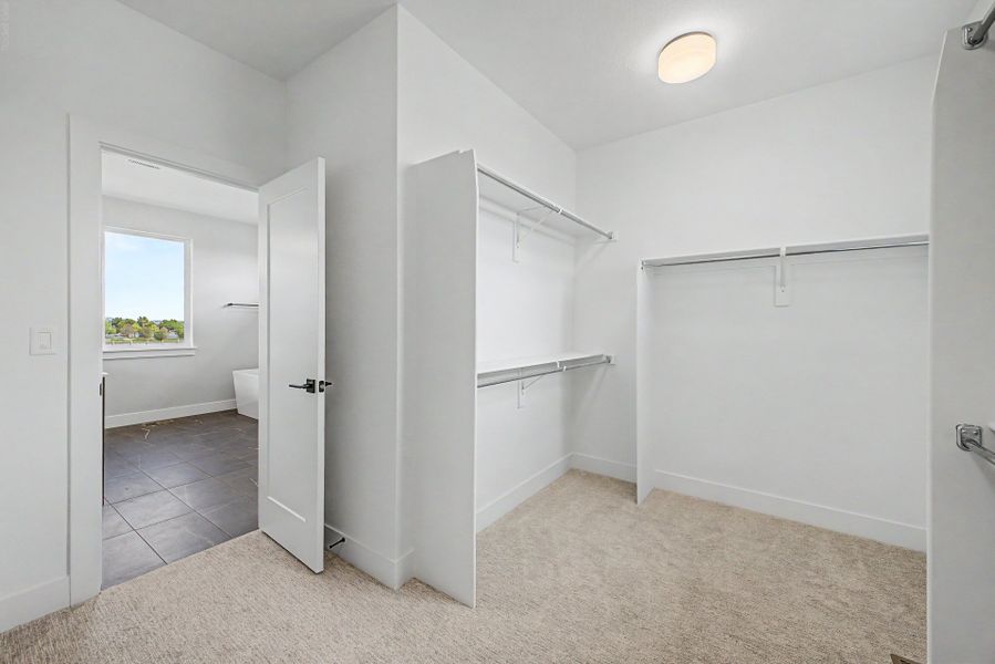 Spacious, unfurnished interior of a new home in West Grange, Longmont (Image 32). Spacious, unfurnished interior of a new home in West Grange, Longmont (Image 32).
