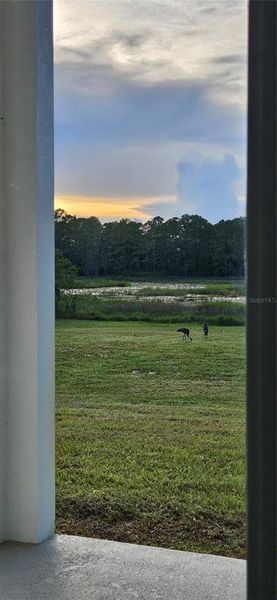 Status of construction as of August 16, 2025. Fourth Bedroom