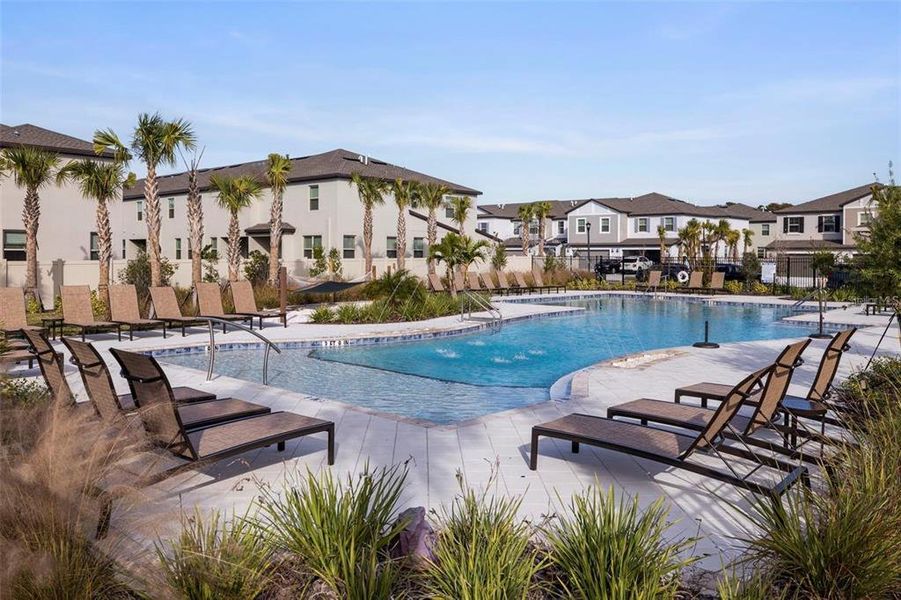 Community amenities in , New Port Richey (Image 20).