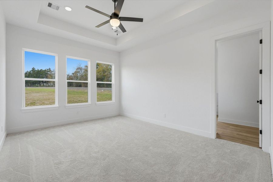 Private primary suite featuring plush carpet, ceiling fan, and ample space for a king-size bed.