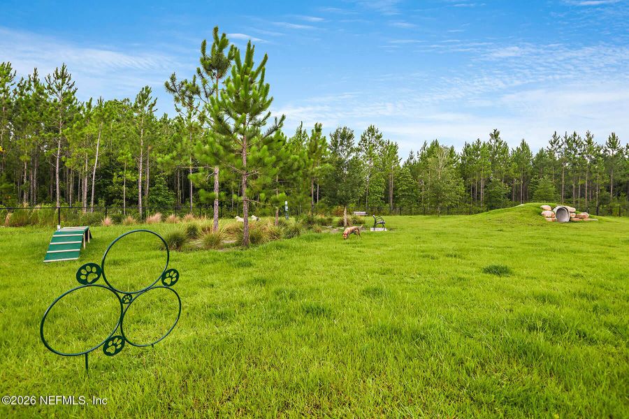 Natural landscape and outdoor views near  in St. Augustine (Image 62).