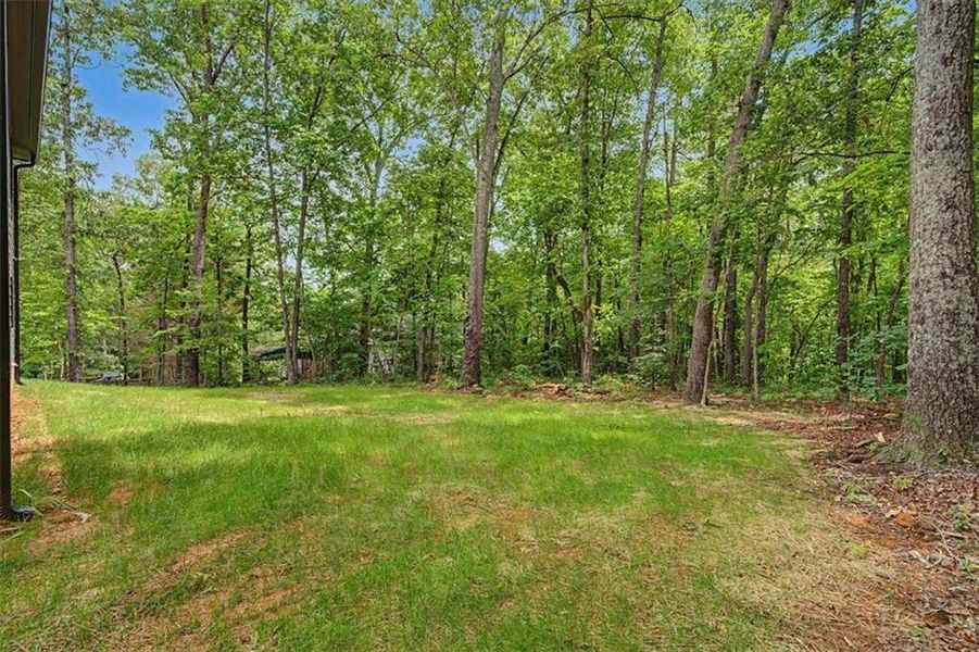 Natural landscape and outdoor views near  in Emerson (Image 44).