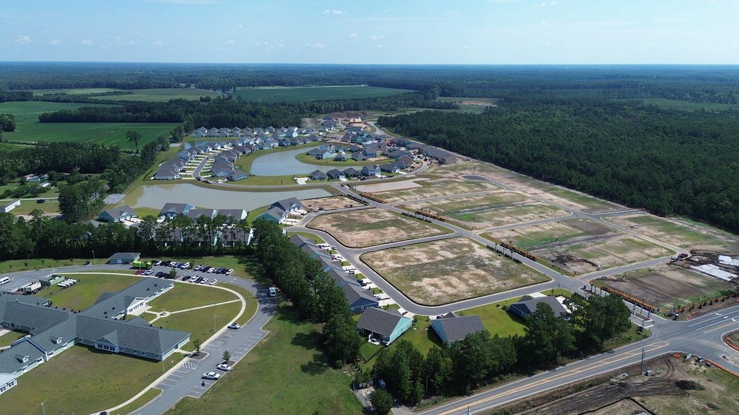 Site preparation for new homesites in Brunswick Plantation, Ash (Image 15).