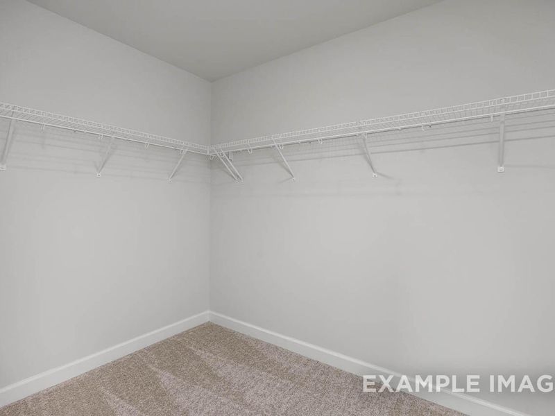 Spacious, unfurnished interior of a new home in Springvale, Fuquay Varina (Image 21).
