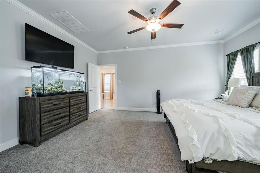 Bedroom with ornamental molding, carpet, and ceiling fan Bedroom with ornamental molding, carpet, and ceiling fan