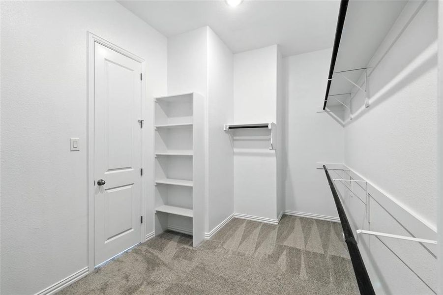 Spacious closet with carpet floors Spacious closet with carpet floors