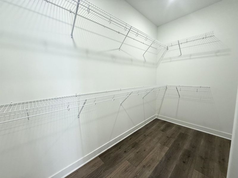 Walk in closet with dark wood-style flooring