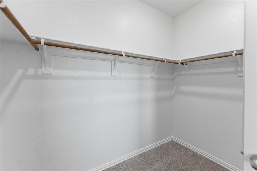 Walk in closet featuring dark colored carpet