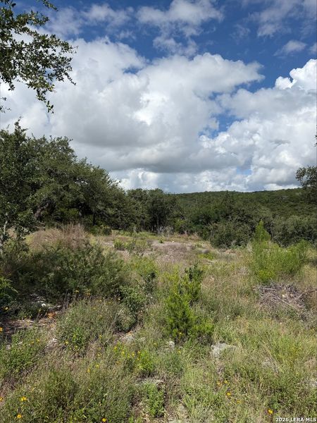 Natural landscape and outdoor views near  in New Braunfels (Image 12).