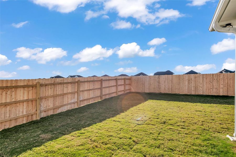 View of fenced backyard