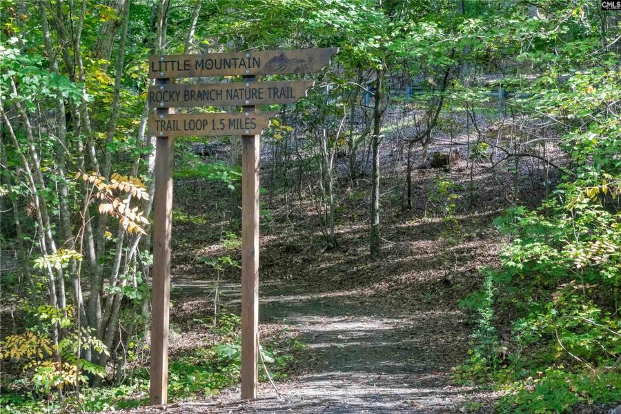 Image 48 of a home in Rolling Hills.