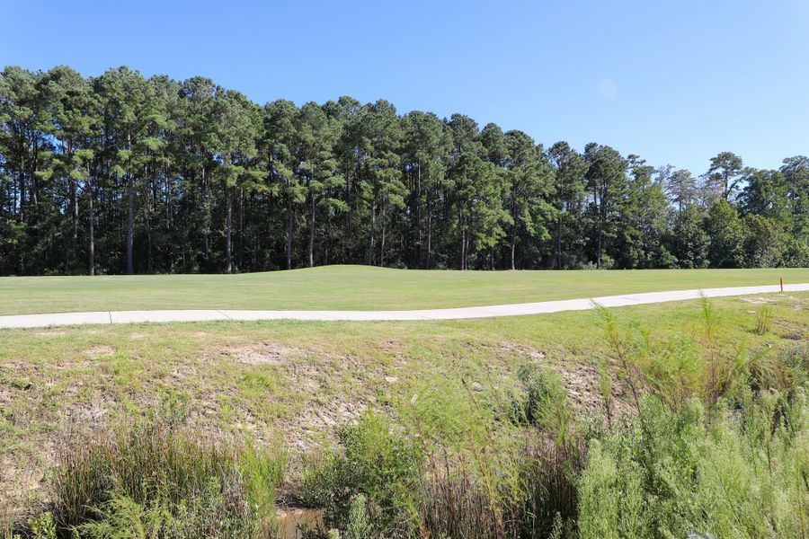 Natural landscape and outdoor views near Bally Castle in Murrells Inlet (Image 37). Natural landscape and outdoor views near Bally Castle in Murrells Inlet (Image 37).