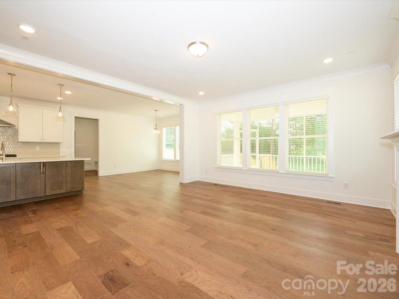 Family Room and Kitchen