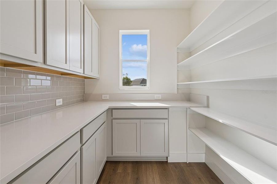 Furnished interior view inside a new home in Coasterra, Palmetto (Image 12).