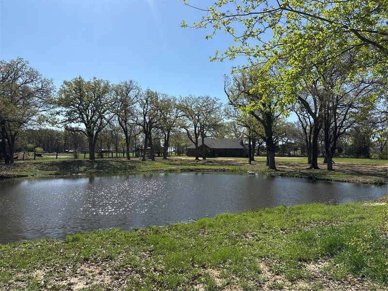 View of the back of the house from the pond View of the back of the house from the pond