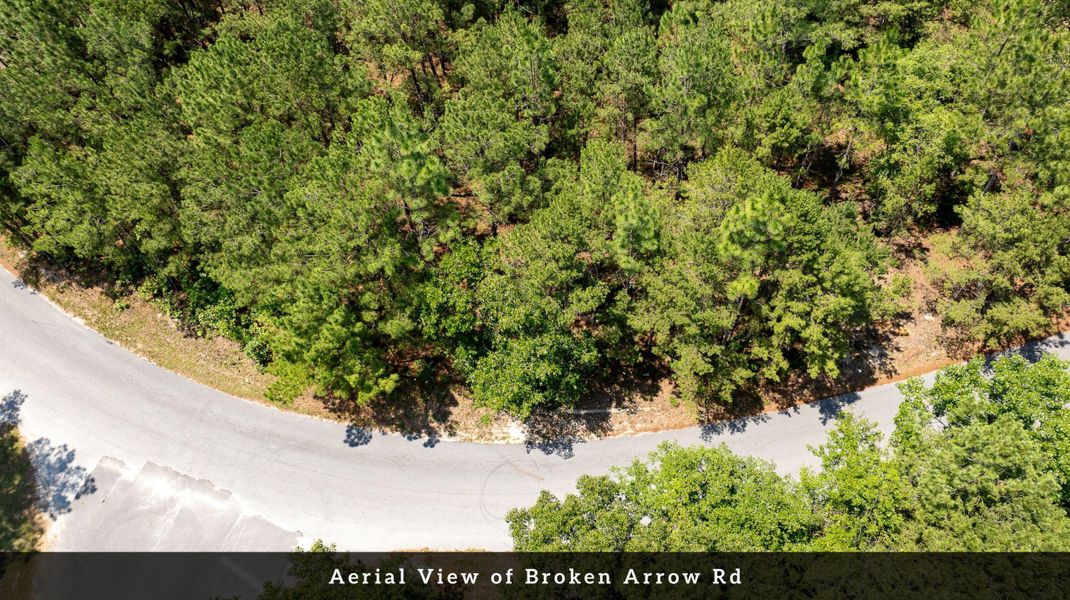 Natural landscape and outdoor views near  in Eutawville (Image 31).