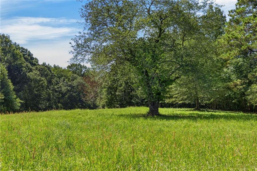 Natural landscape and outdoor views near  in Waco (Image 36).