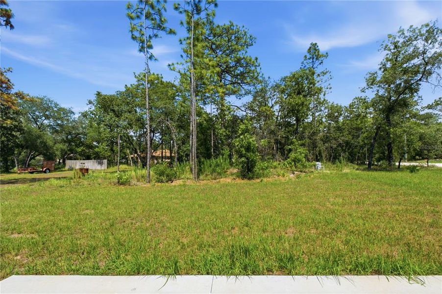 Natural landscape and outdoor views near in Weeki Wachee (Image 38). Natural landscape and outdoor views near in Weeki Wachee (Image 38).