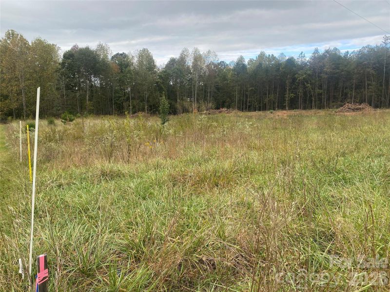 Natural landscape and outdoor views near  in Forest City (Image 19).