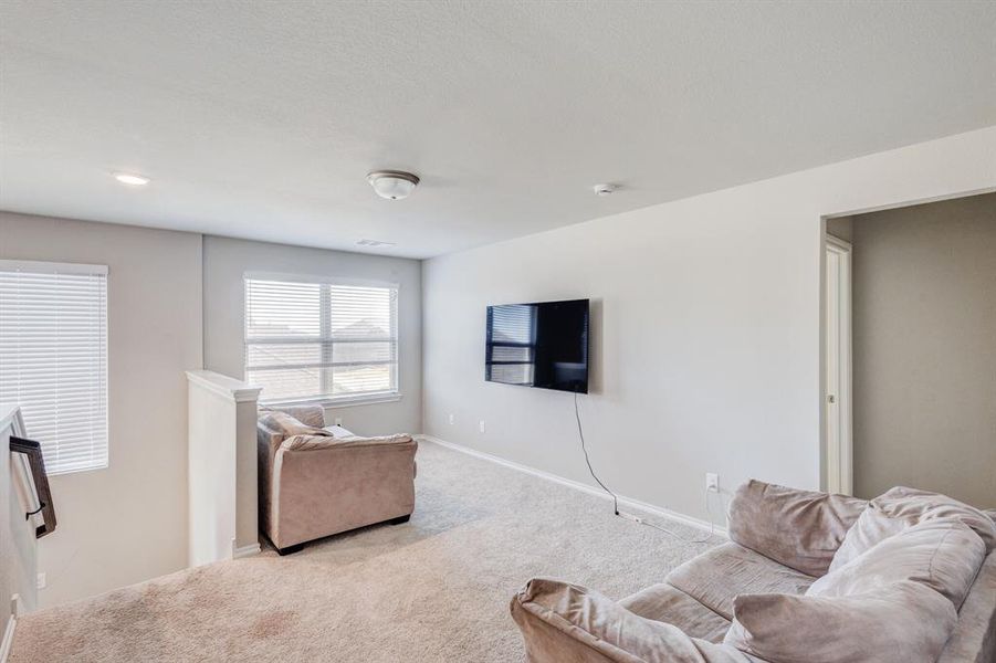 Carpeted living area with baseboards Carpeted living area with baseboards