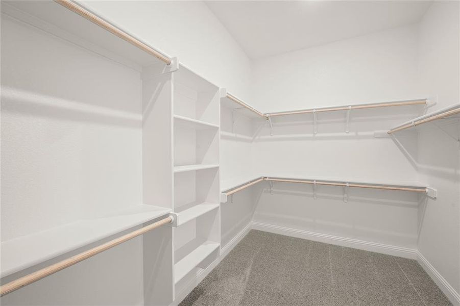 709 Seahawk- Primary SUite-6 709 Seahawk- Primary SUite-6