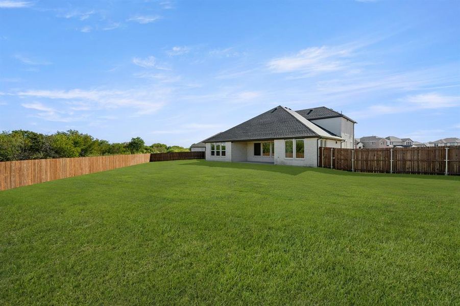 701 Iris- Back-2 701 Iris- Back-2