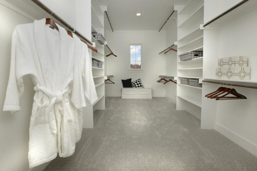 The Marley Owner's Closet The Marley Owner's Closet