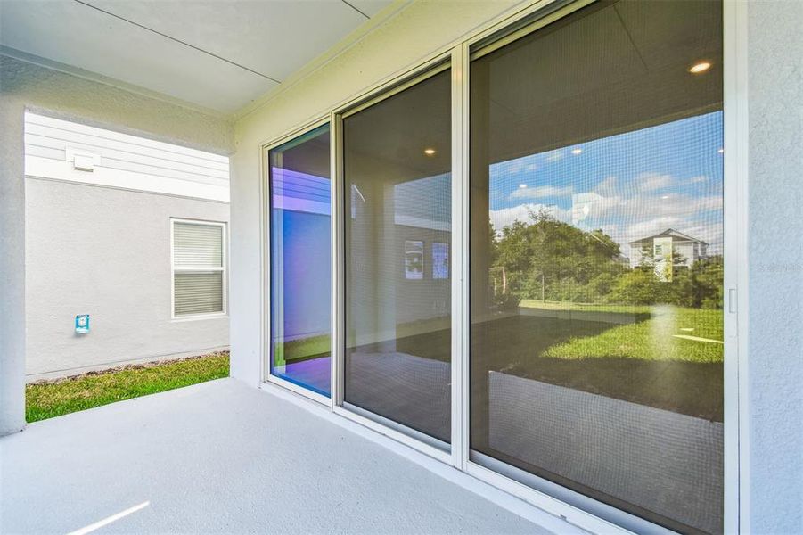 Exterior details and patio area of a home in Persimmon Park - Garden Series, Wesley Chapel (Image 3).