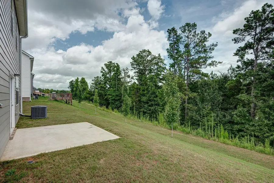 Exterior details and patio area of a home in Cedar Ridge - Locust Grove Station, Locust Grove (Image 23).