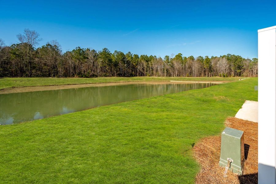 Exterior details and patio area of a home in The Landings at Montague, Goose Creek (Image 20).