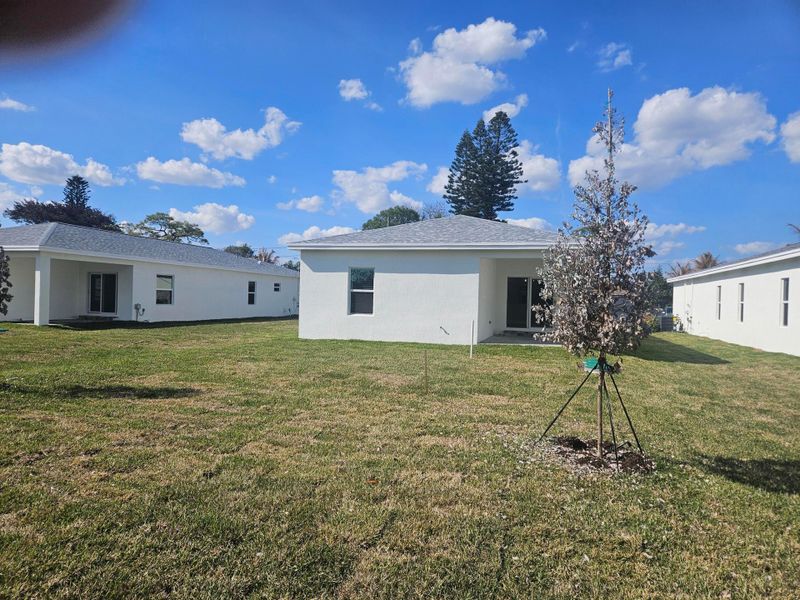 20260219_144622 20260219_144622