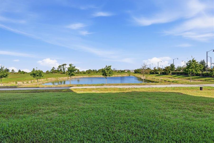 Natural landscape and outdoor views near in Venice (Image 52). Natural landscape and outdoor views near in Venice (Image 52).
