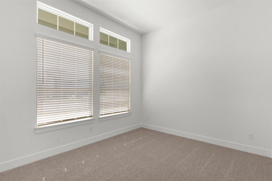 Unfurnished room featuring carpet and baseboards