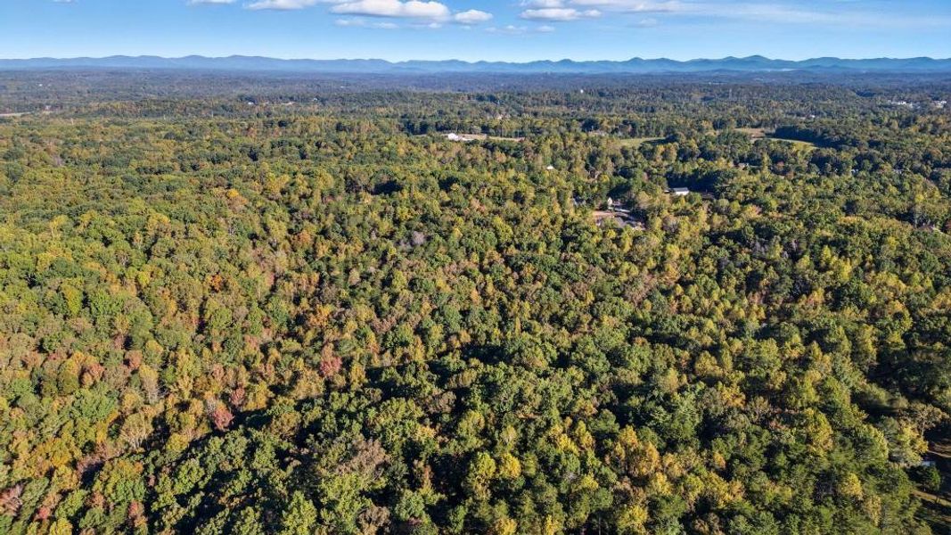 Natural landscape and outdoor views near  in Dawsonville (Image 32).