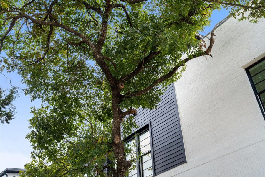Exterior details and patio area of a home in Spyglass, Austin (Image 26).