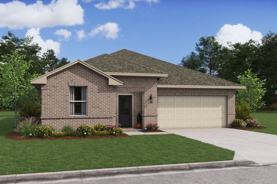 Daffodil IV QA Daffodil IV QA