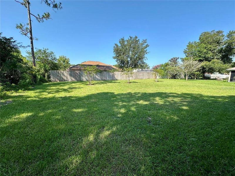 Natural landscape and outdoor views near Palm Coast in Palm Coast (Image 16). Natural landscape and outdoor views near Palm Coast in Palm Coast (Image 16).