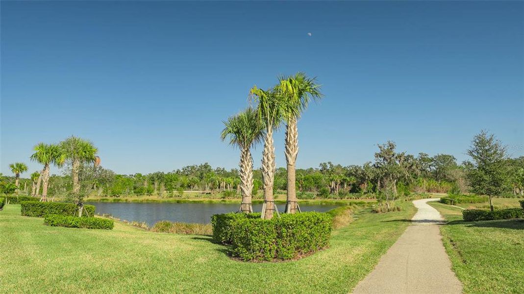 Natural landscape and outdoor views near  in Sarasota (Image 80).