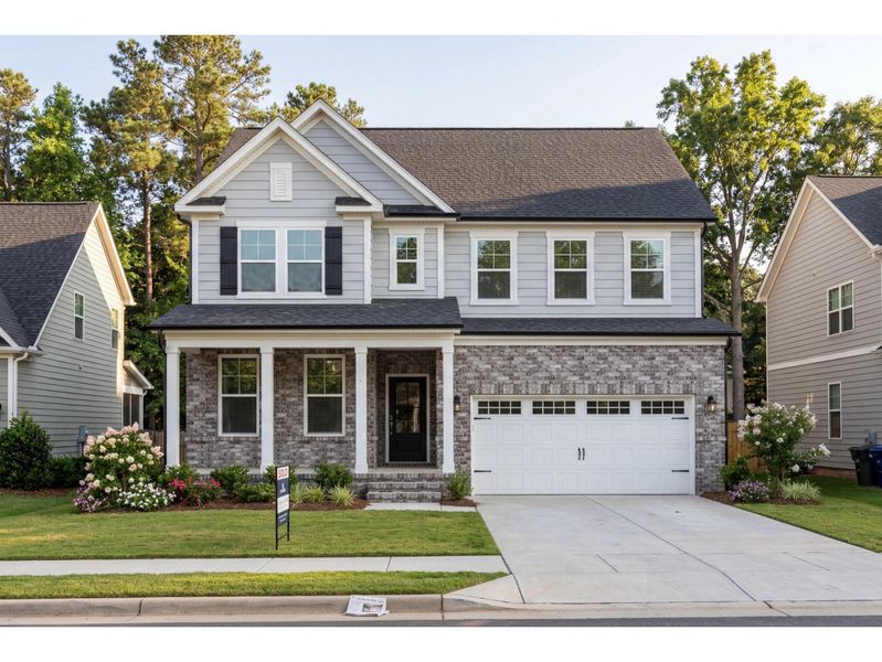 The Chestnut F The Chestnut F