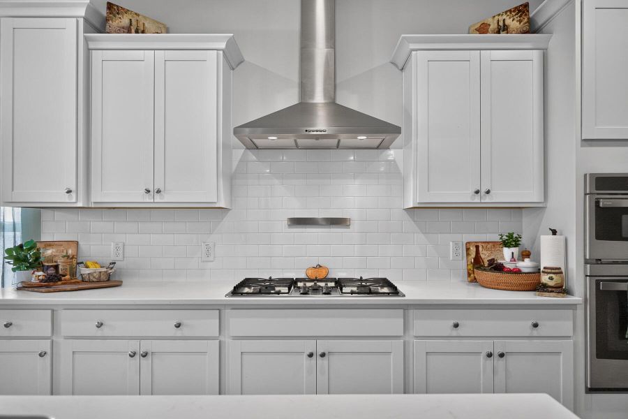 Close-up of interior finishes inside a home in Horizons at Summers Corner | 55+, Summerville (Image 20).