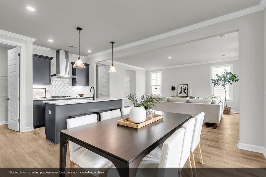 Furnished interior view inside a new home in Pineland Preserve, Summerville (Image 12).