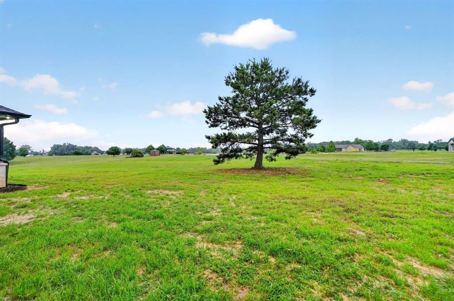 Natural landscape and outdoor views near  in Mount Pleasant (Image 38).