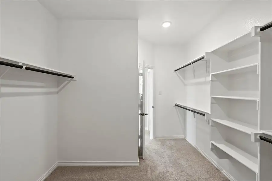 Spacious closet featuring light colored carpet